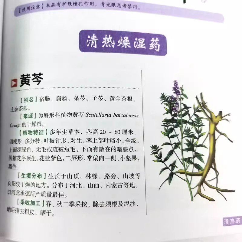 The Ancient Herbarium Holistic - огляд і ціна Herbal Holistic Wellness